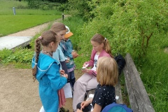 IMG_20240604_124425