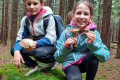 IMG-20240911-WA0060
