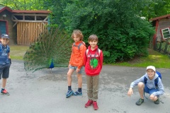 IMG20240606110213
